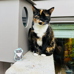 Grumpy Cone Mimmi Vinyl Sticker