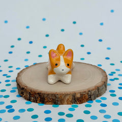 Corgi with Yellow Gold Hearts
