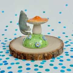 Gray Tuxedo on an Orange Mushroom