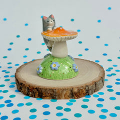 Gray Tuxedo on an Orange Mushroom